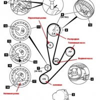 Ремень ГРМ Fiat Ducato