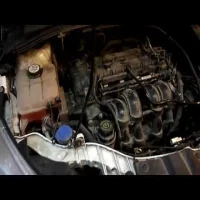 Ремень ГРМ Ford Focus 3