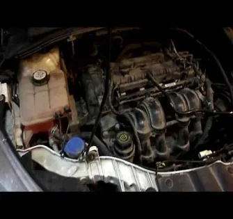 Ремень ГРМ Ford Focus 3