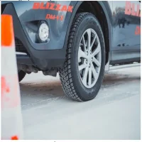 Шины Bridgestone Blizzak DM v2