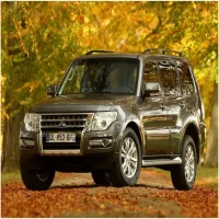 Салонный фильтр Mitsubishi Padjero