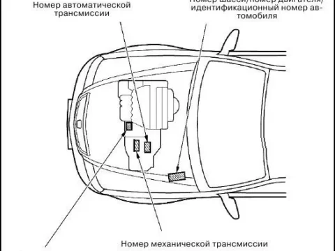 Вин номер, номер двигателя на Accord 7
