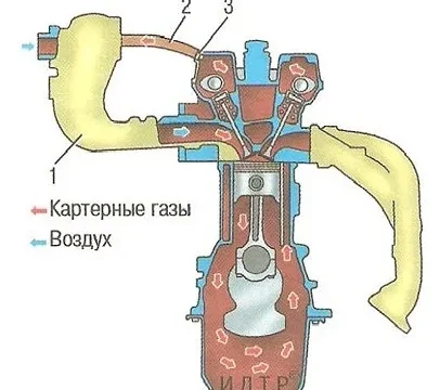 Коллектор Chevrolet Cruze
