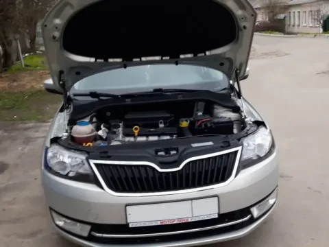 Амортизаторы Skoda Rapid