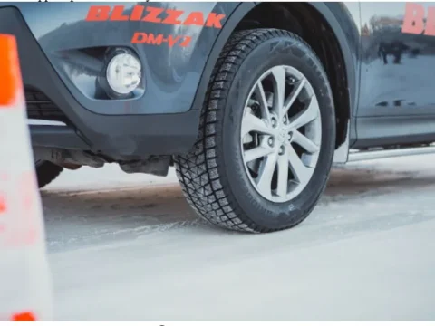 Шины Bridgestone Blizzak DM v2