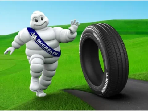 Шины Michelin