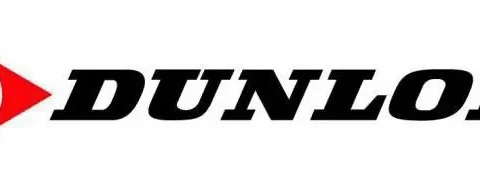 Шины Dunlop