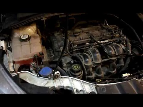 Ремень ГРМ Ford Focus 3